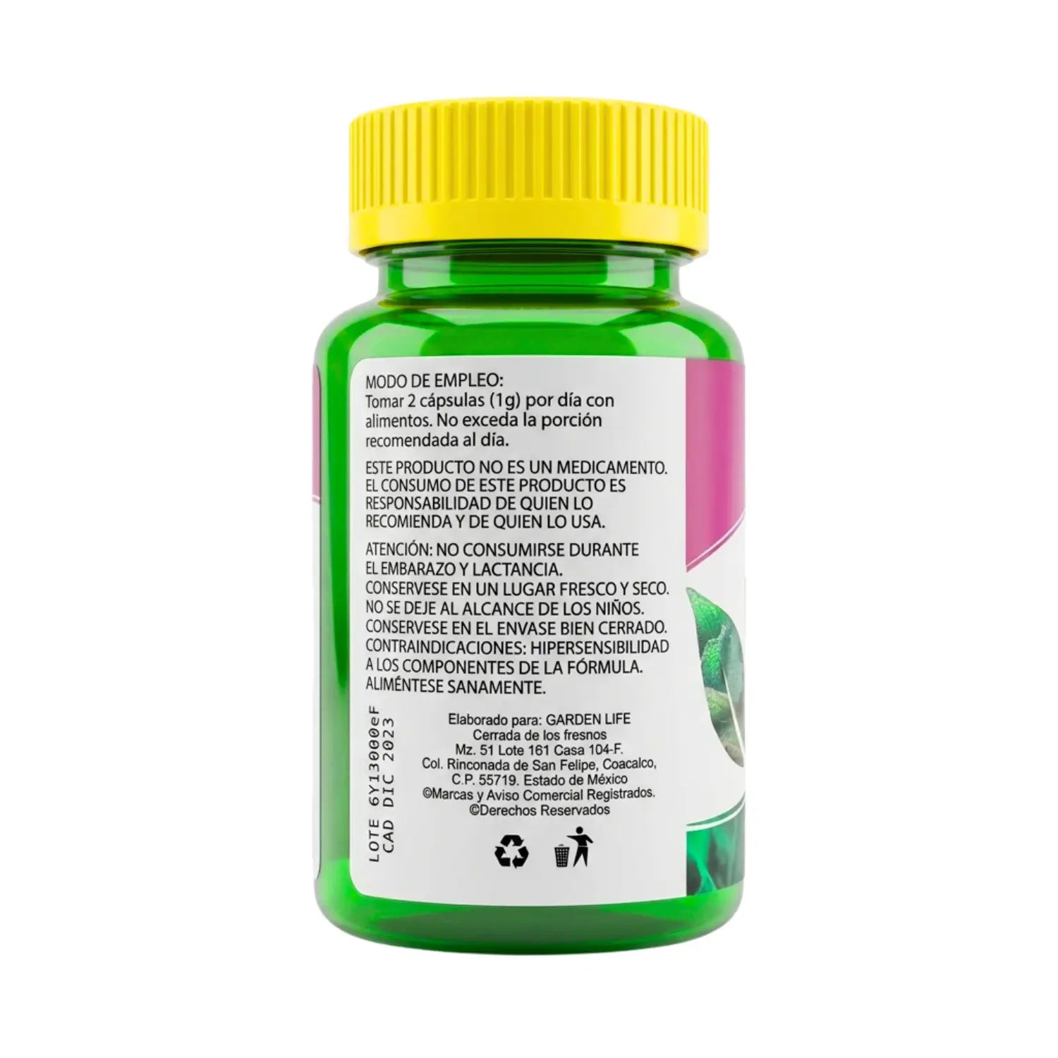 Kalanchoe ; 60 cápsulas de 500mg, energreen.