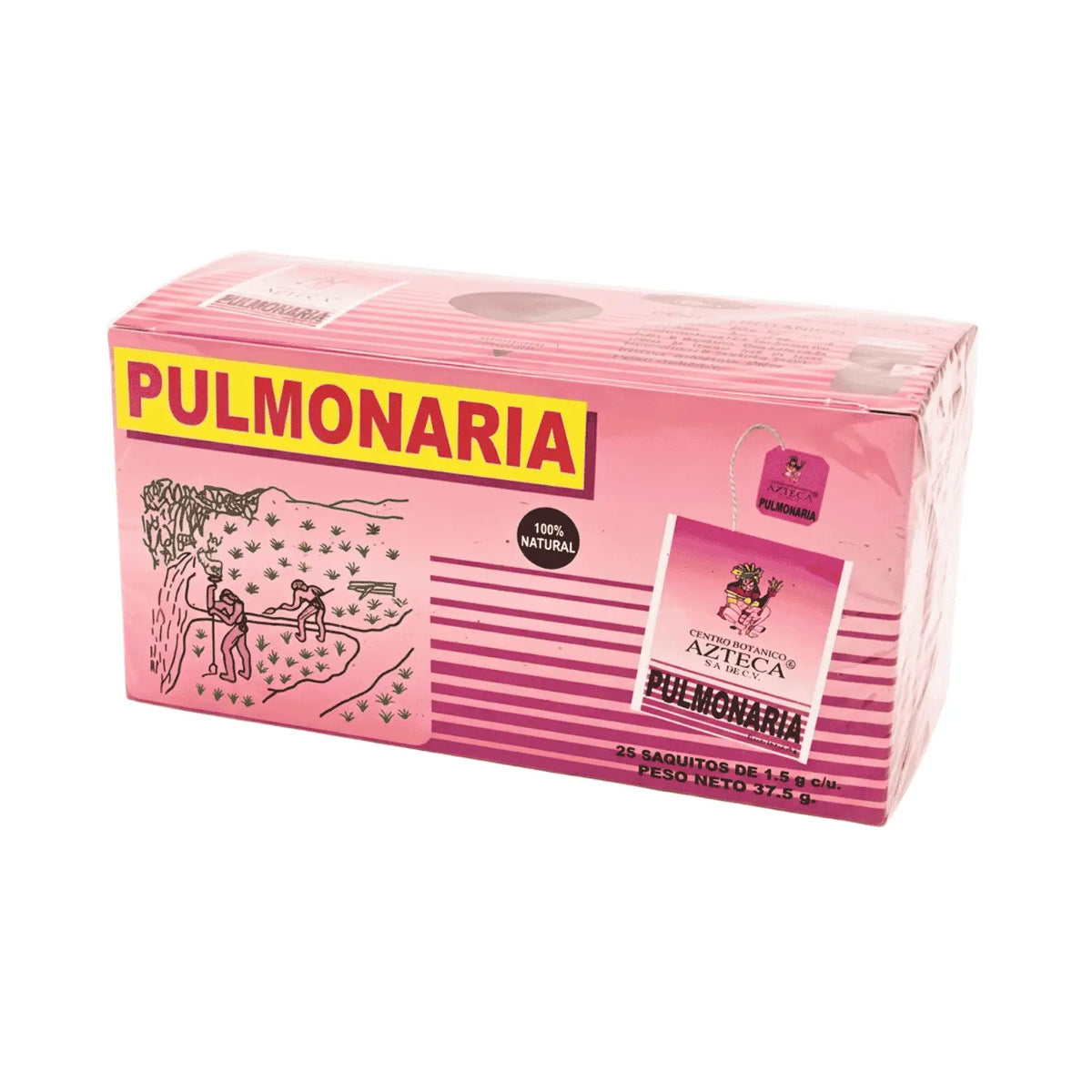 Té Pulmonaria; 25 sobres de 1.5g; Azteca