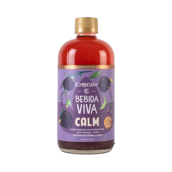 Bebida kombucha; sabores 500 ml.