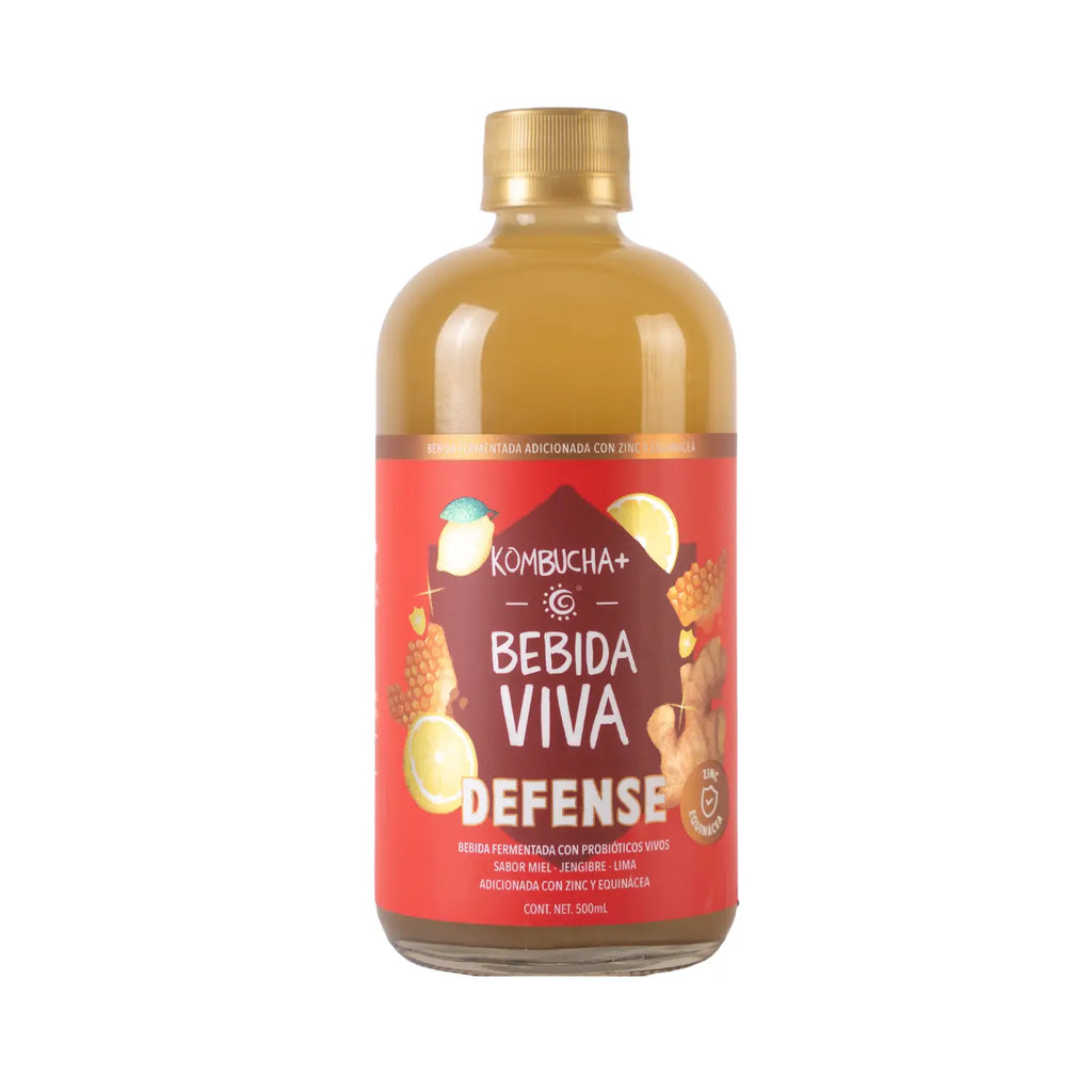 Bebida kombucha; sabores 500 ml.