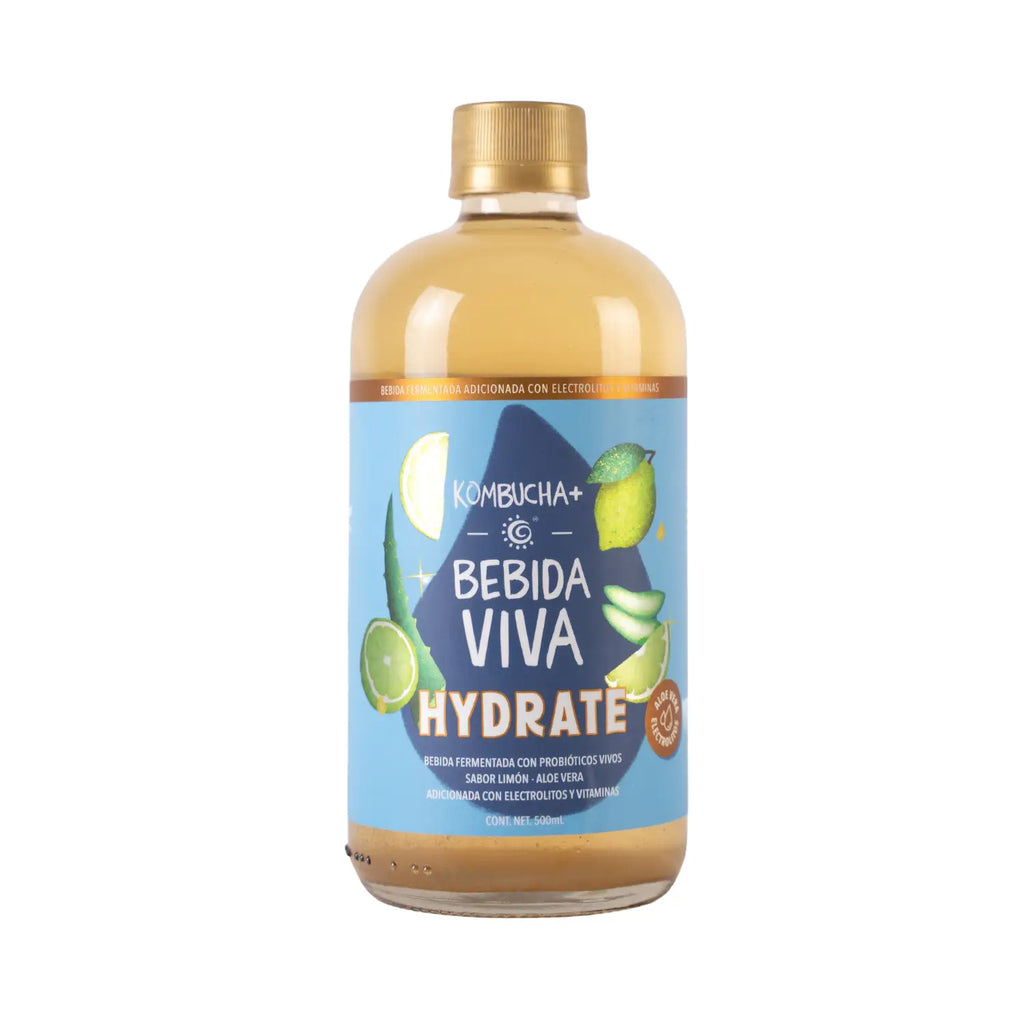 Bebida kombucha; sabores 500 ml.