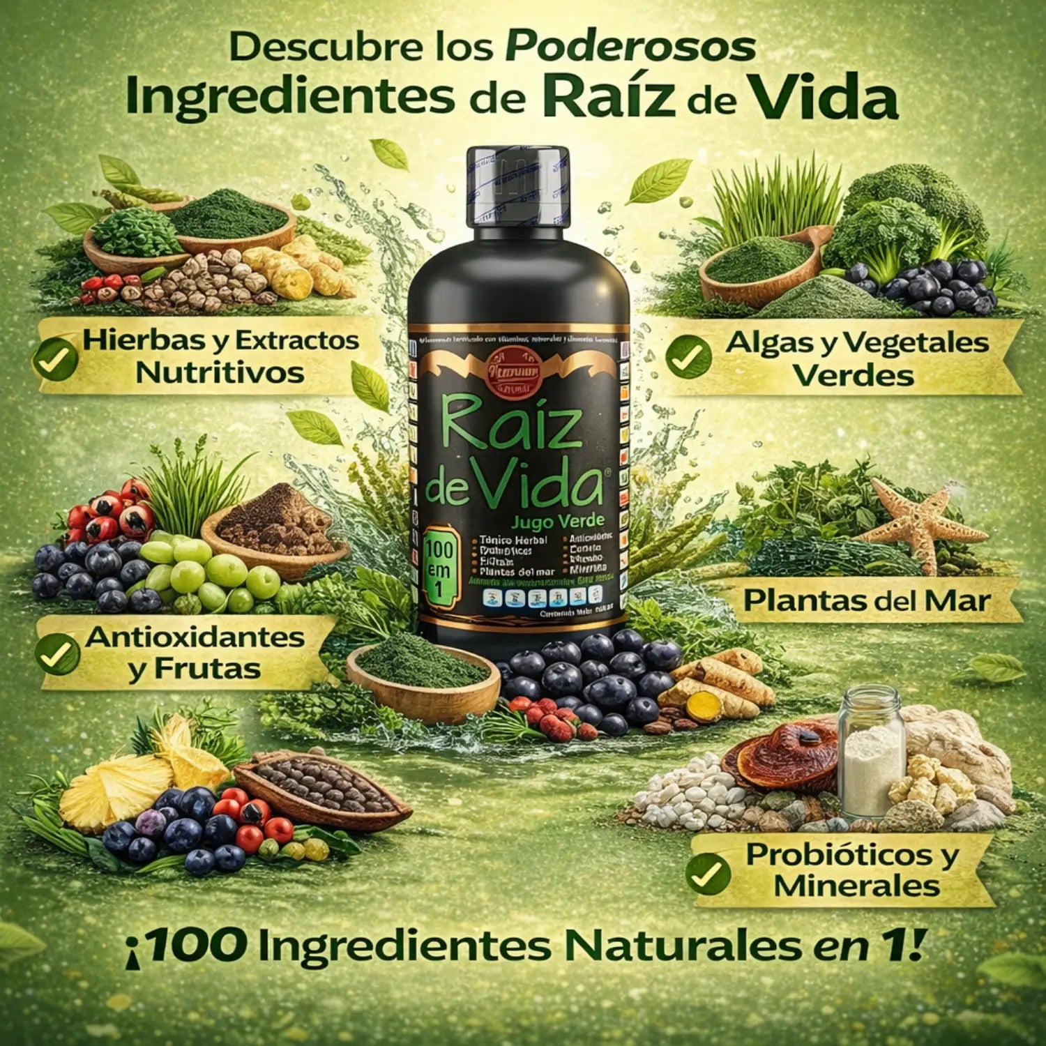 Tónicos  Raiz de Vida; 1Lt.