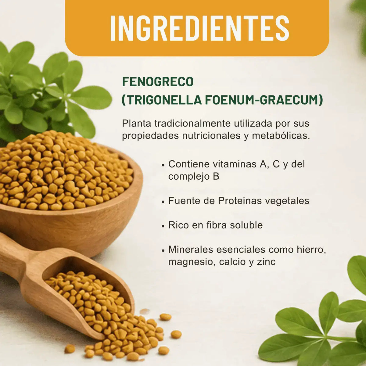 Fenogreco; 150 Capsulas de 400mg, Cosmo Natura.