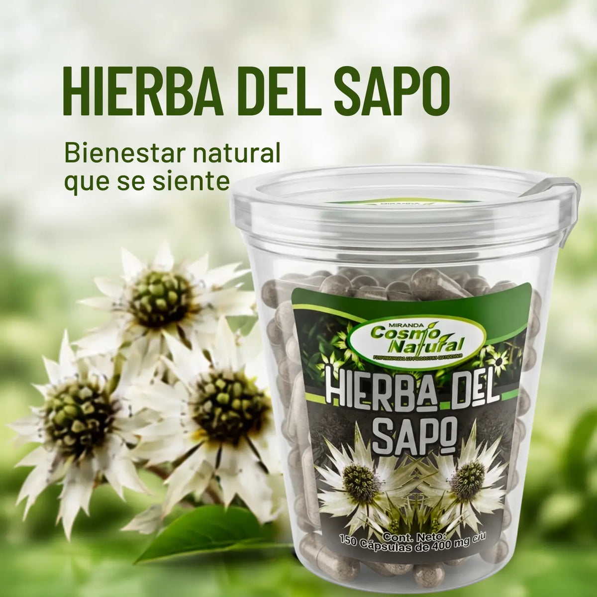 Hierba del Sapo Cápsulas