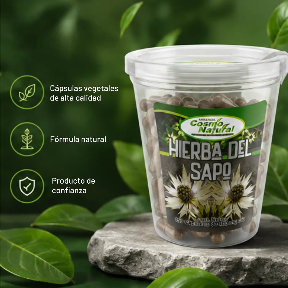 Hierba del Sapo Cápsulas