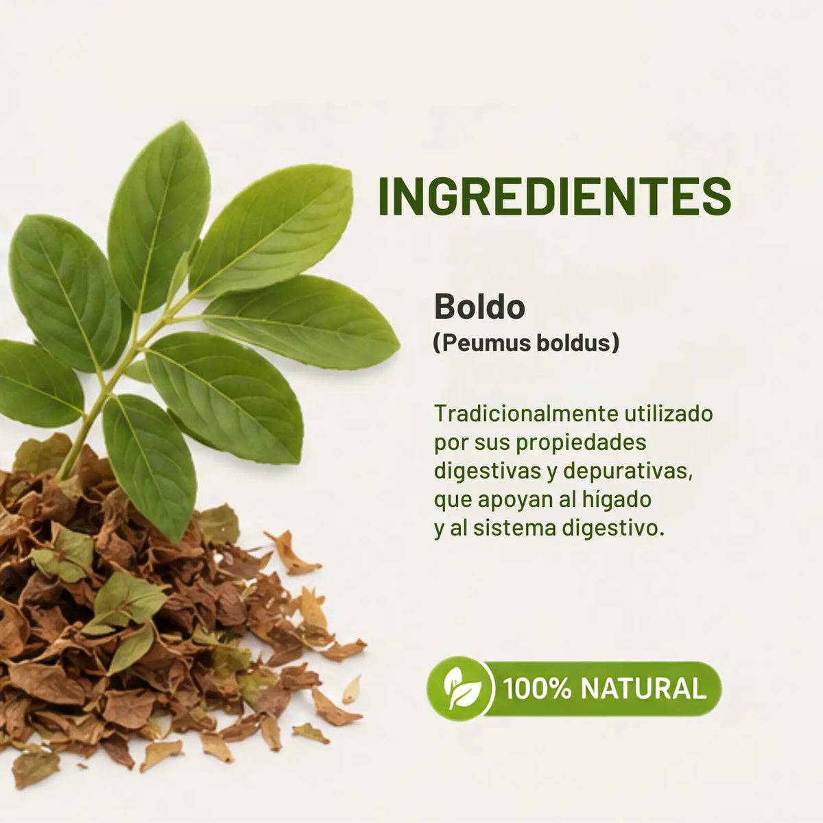 Boldo 150 Cápsulas